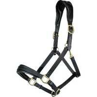DD Halter en cuir noir personnalisable, confortable avec ferrures en laiton, fait main -Cob-Full, fournitures équestres de haute qualité