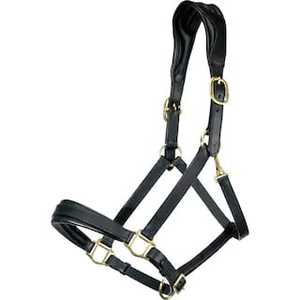 DD Customizable Black Leather Horse <b>Halter</b> Comfortable with SS/Brass Fittings High Quality Horse Supplies - Product Image 2