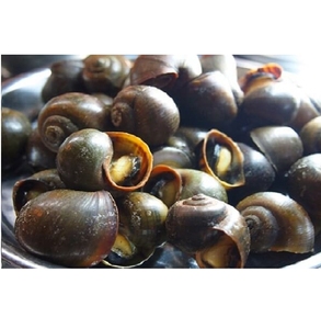 Explore Delightful Frozen Food Export Alibaba Com Explore Delightful Frozen Food Export Alibaba Com