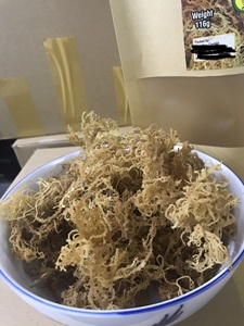 Púrpura-Golden Seamoss/Mejor precio Musgo de mar irlandés/Eucheuma Cottonii Seaweed/Ms. Laura - Product Image 3