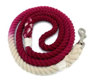 5ft Multi-colored Braided Ombre Cotton Rope <b>Dog</b> <b>Leash</b> - Product Image 1
