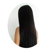 Bubuk Henna hitam lembut Herbal organik