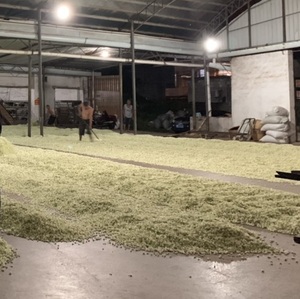 ชาเขียวอัสสัมคุณภาพสูงแบบใหม่ บรรจุภัณฑ์แบบหลวม ชาเขียวหมักแห้งสำหรับลดน้ำหนัก เพื่อความงามที่ดูอ่อนเยาว์ - Product Image 6