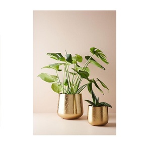 Hot Selling Iqbal Collection Galvanized Gold Plated Shape Eco-Friendly Durable Indoor Outdoor <b>Flower</b> Pot Planter for Decoration - Product Image 1
