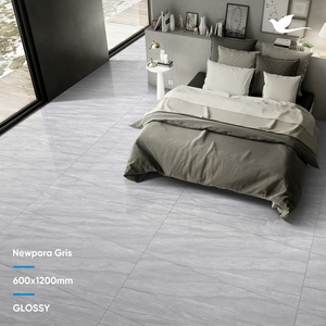 Carreaux de sol et mur en porcelaine polie modifiée de haute qualité 600x600/600x1200 Carreaux en porcelaine à surface solide de première qualité fabricant indien - Product Image 3