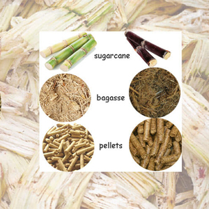 ชานอ้อยแบบเม็ดแห้งผลิตจากชานอ้อย WASTE-GIA ทางการเกษตร Gia Nguyen Co. Ltd VN - Product Image 1