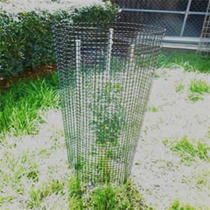 Malla de plástico que puede proteger a los árboles jóvenes de animales, destrucción en zonas <span class=keywords><strong>rurales</strong></span> y bosque - Product Image 4