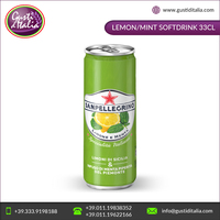 Boisson gazeuse aromatisée citron/menthe SAN PELLEGRINO 33CL en canette, Italie, vente chaude, OEM/ODM disponible, meilleur prix
