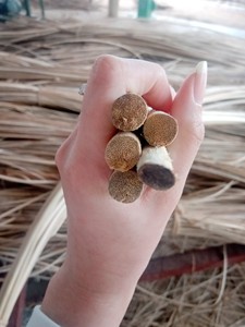 Núcleo de mimbre ovalado plano, accesorio para la piel, 99GD - Product Image 6