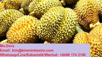 Top Selling 2022 Hoge Kwaliteit Verse Durian Fruit Met Concurrerende Prijs Uit Vietnam