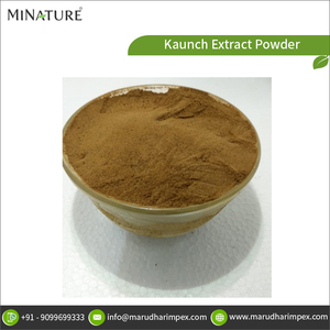 Factory Direct Supply Top Grade Quality 100% Pure Kaunch <b>Extract</b> Mucuna Pruriens Powder at Wholesale Price - Product Image 2