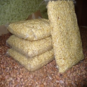 Noix de pin crues de haute qualité pour les aliments transformés en vente entière - Product Image 2