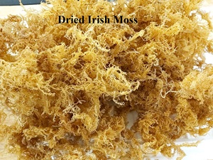HIGH GRADE <b>SEA</b> <b>MOSS</b> IRISH <b>MOSS</b> EXPORT to US, CANADA, <b>UK</b>, AUTRALIA/ Amber + 84383004939 - Product Image 4