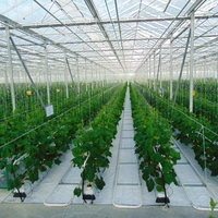 Nouvelle serre de pépinière FM avec système d'aéroponie et d'hydroponie, agriculture verticale, légumes, fruits, fleurs, micro-légumes