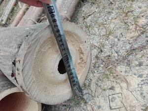 Eco-Friendly Natural Bamboo <b>Stakes</b> and Cane Pole 99GD <b>Garden</b> <b>Decor</b> From Vietnam Bamboo Raw Materials - Product Image 6