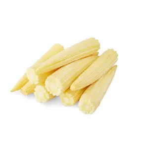 最优惠的价格罐装婴儿玉米/切割婴儿玉米可用于出口/高品质罐头玉米切割玉米在盐水越南99黄金数据