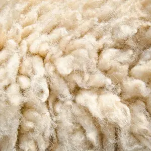 SHEEP WOOL