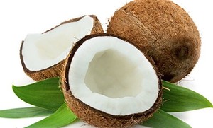 COCO SECO AL MEJOR PRECIO PARA IMPORTADORES COCO SECO NATURAL DE VIETNAM PRECIO COMPETITIVO - Product Image 5