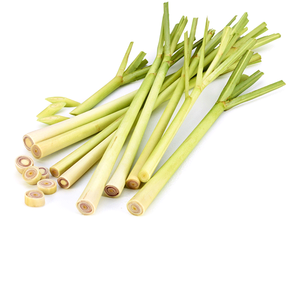 Aromaaz ตะไคร้หอมบริสุทธิ์จากใบ - Product Image 4