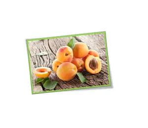 100% Pure and Natural Apricot Kernel oil for import