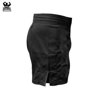 Haute Qualité Logo Brodé Personnalisé MMA Grappling Vierge Meilleur Court Faites Votre Propre Short MMA En Vrac En Gros - Product Image 2