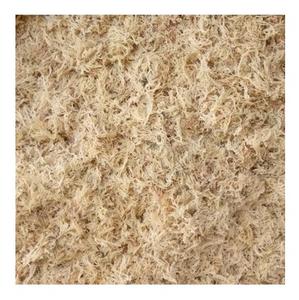 Vietnam Supplier Irish <b>Sea</b> <b>Moss</b> Eucheuma Cottonii Seaweed/ Dried Unsalted Brown <b>Sea</b> <b>Moss</b> Vietnam - Product Image 3