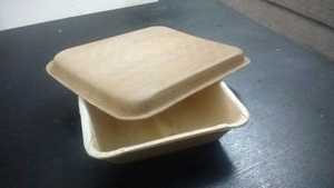 Platos de hoja de areca desechables de primera calidad y platos de patrón de plantas ecológicos para cuencos y platos de camping - Product Image 5