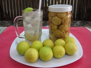 Limone Salato Vietnamita Premium – Sapore Naturale di Agrumi, Bevanda Rinfrescante, Fornitura all'Ingrosso, OEM e Confezioni Personalizzate - Product Image 5