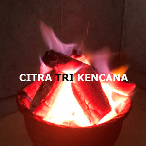 Palo de fiesta de jardín para el hogar, parrilla de madera dura, carbón, barbacoa, barbacoa, naranja, carbón, el mejor de Mansuriya, Ghana - Product Image 1