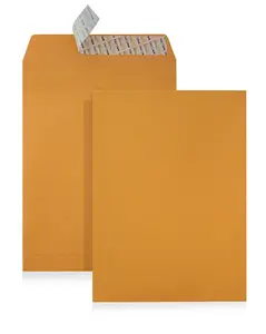金色牛皮，白色，马尼拉纸B4口袋信封10 x 14英寸，带皮和密封