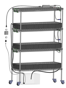Système de culture hydroponique de micro-légumes avec éclairage LED, étagère en fil d'acier <span class=keywords><strong>Koray</strong></span> GK12045 G12045 2021 - Product Image 5
