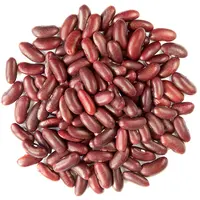 Dry Red Kidney Beans, New Crop