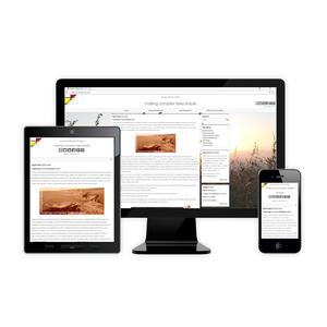 Custom plugin development Company in India | Award Winning WordPress Plugin design & Development Services by Webroot Infosoft - Product Image 5