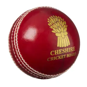 شراء كرة الطائرة لكريكيت المجلس الوطني مع ألوان متعددة وتصميم كلاسيكي من الجلد الحقيقي للكريكيت الكرة الصانع من الهند
