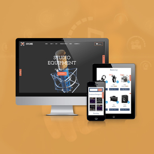 Music eCommerce Website design & Development Company in India | Best Music ECommerce Website Development Services by Webroot - Product Image 5