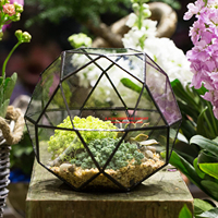 Dôme de verre artistique moderne fait à la main, dispositif en verre créatif, Terrarium triangle pentagone mélange à 32 côtés, support de plantes aérienne succulentes d'intérieur