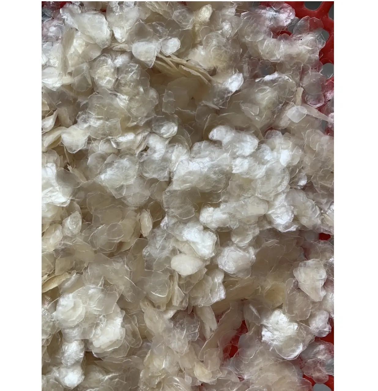 Dried Fish Scales High Quality from Vietnam // HIGH QUALITY // GOOD PRICE // Ms. Esther (WhatsApp: +84 963590549)