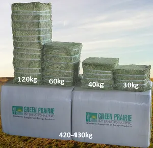 Wholesale Supplier of Animal Feed Alfalfa Hay Grass Pellets