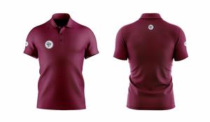 Camiseta de polo unisex de alta calidad, diseño de logotipo personalizado, impresión digital en tejido de punto de poliéster y algodón, venta al por mayor para hombres - Product Image 2