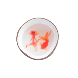 ชามเปลือกมะพร้าวแกะสลักทำมือ เป็นมิตรกับสิ่งแวดล้อม สไตล์วินเทจ ปรับแต่งได้ ไม่ซ้ำใคร ดีต่อสุขภาพ ผลิตในเวียดนาม สวยงาม ทำด้วยมืออย่างประณีต - Product Image 2