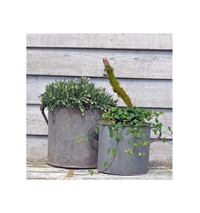 Raboteuse de jardin, jardin, balcon en plein air, lit surélevé, en fer - Product Image 1