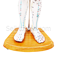 Modelo Anatómico Masculino de 50 cm, Cuerpo de Goma, para Acupuntura, Medicina, Hospitales, Masajes, Clínica de Moxibustión China