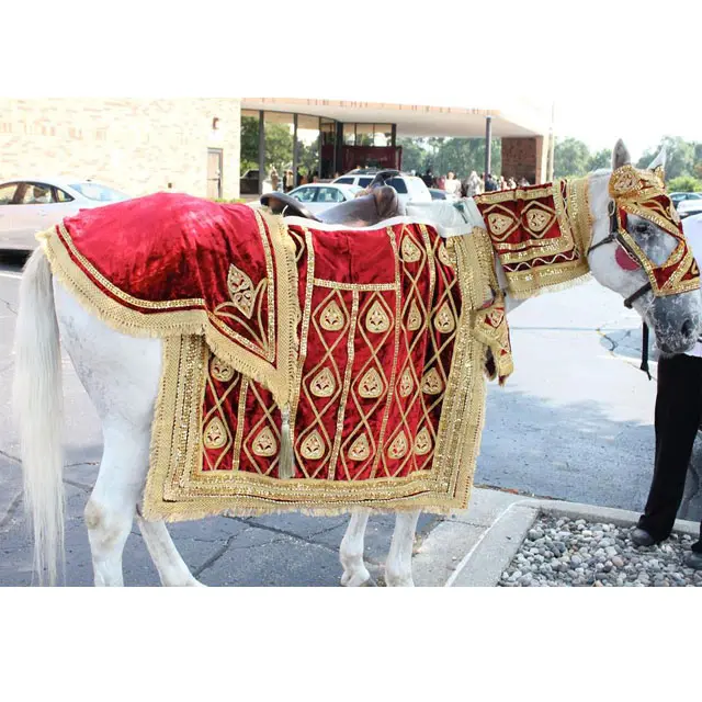 Đám Cưới Màu Đỏ Thêu Ngựa Trang Phục/Trang Phục Ấn Độ Ngựa Trang Trí Trang Phục Cho Đám Cưới Đẹp Đám Cưới Ngựa Trang Phục Trang Phục