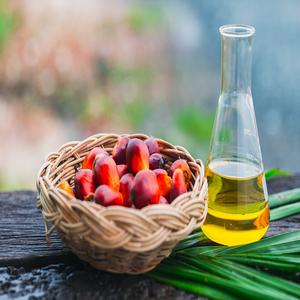 NOUVEAU STOCK HAUTE QUALITÉ MALAISIE HUILE DE PALME RBD - Product Image 1