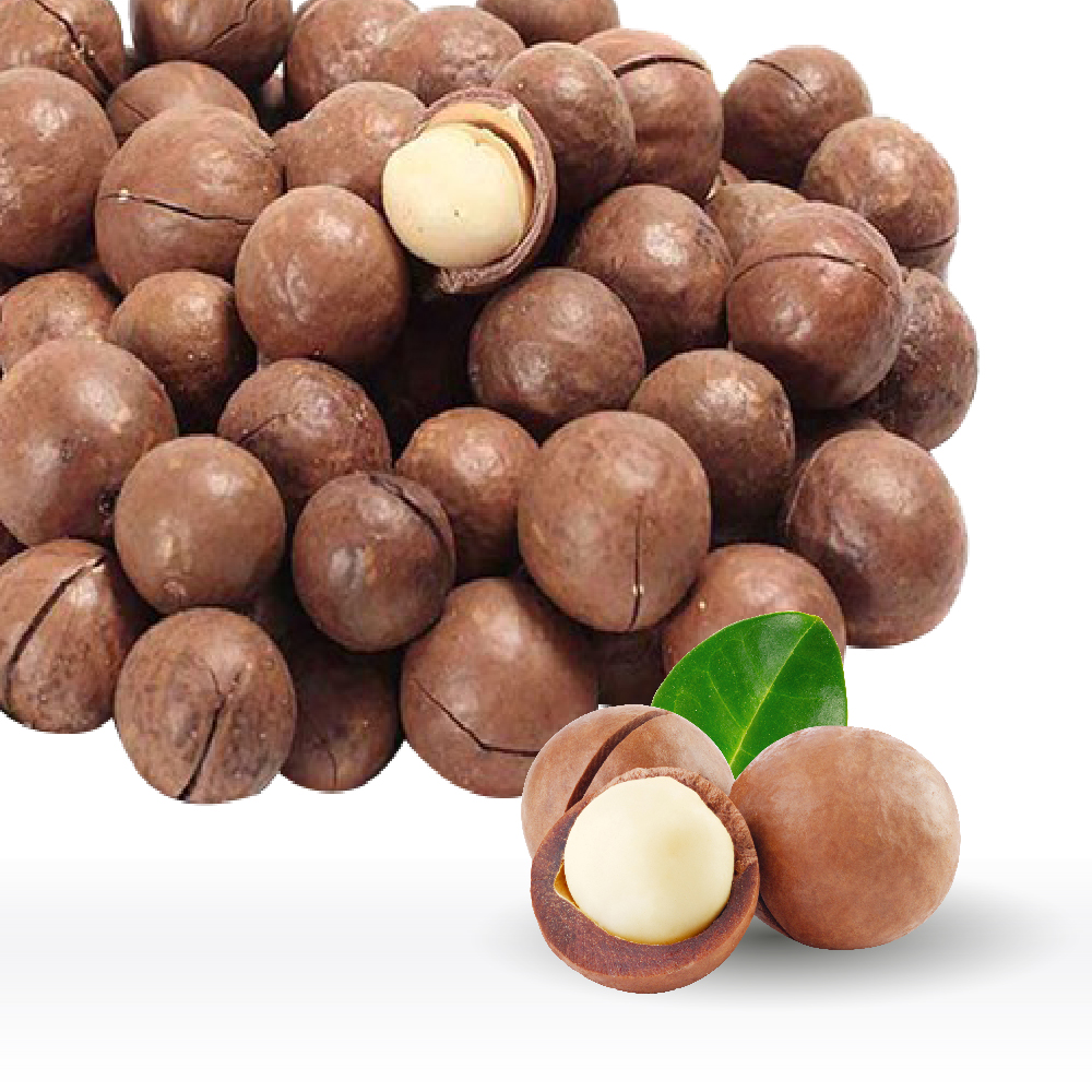 Premium Wholesale Macadamia Nuts