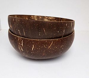 Cuenco de coco NATURAL, cuenco de cáscara de coco reutilizable, tazón de coco de alta calidad, tazón de coco REAL de VIETNAM - Product Image 5