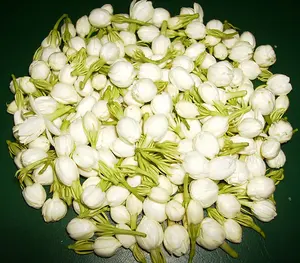 Fresh Jasmine Flowers Available...