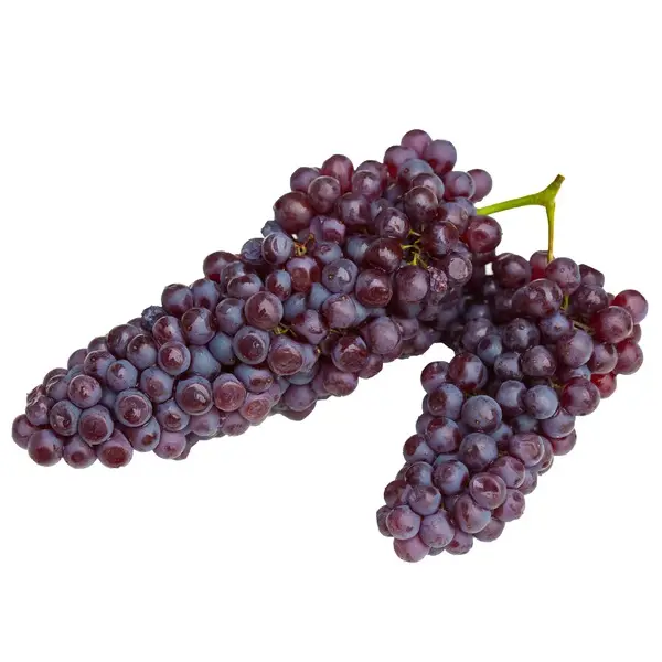 Seedless Grapes Fresh Grapes Fruit Hot Selling Canned Fruit Grapes for sales