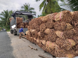 NATURAL WATER HYACINTH <b>ROPE</b> TWISTED CORD <b>CRAFT</b> VIETNAM DRIED WATER HYACINTH MATERIAL for HANDICRAFT - Product Image 6