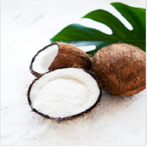 NOIX DE COCO BIOLOGIQUE AU VIETNAM 2024 AVEC LE MEILLEUR PRIX/Ms Holiday - Product Image 1